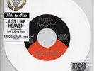 The Cure & Dinosaur Jr. - Just Like Heaven 45 7