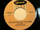 CYRIL NEVILLE Funk Soul 45rpm Tell Me What's On Your Mind b/w Gossip LISTEN