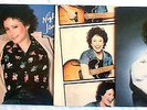 JANIS IAN - 4 NM VINYL ALBUMS: AFTERTONES/NIGHT RAINS/BEST OF/RESTLESS .. + FREE