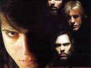? DANZIG - II: Lucifuge (Dutch pressing) // 2nd LP 1990 // ROSEMARY'S BABIES ?
