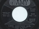 THE RAYS 45RPM '64 AMY LOVE ANOTHER GIRL NORTHERN SOUL PROMO VG+ TO VG++ VINYL