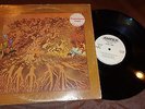 Fever Tree For Sale - Hey Joe WLP Promo Ampex Records Blues Psych LP NM
