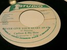 CARLTON AND HIS SHOE- never give your heart away 45