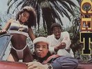Ice T Rhyme Pays WEST COAST CLASSIC NEAR MINT Sire Vinyl LP
