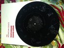 THE MOUNTAIN GOATS ISOPANISAD RADIO HOUR - VINYL LIMITED RELEASE - 500 COPIES