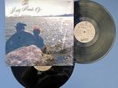 The Vinctives   Many Moods Of The Vindictives   2x LP   Near Mint   Lookout
