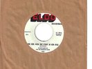 SAFARIS  doo-wop 45  The Girl With The Story In Her Eyes / Summer Nights - NM