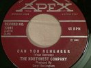 GARAGE PSYCH The Northwest Company CAN YOU REMEMBER Apex 45 rare Canadian