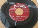 ROCKABILLY-BLUES- SCOTTY MANN- ORIGINAL 45- JUST A LITTLE BIT OF LOVING-RARE