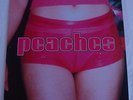 The Teaches of Peaches by Peaches /2000 kitty yo Kydoo(EU) EFA55233-1 lp vinyl