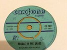 ROLAND ALPHONSO - REGGAE IN THE GRASS - COXSONE CS 7077 RARE SKA 7