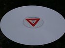 Pearl Jam ?– Yield LP TOP MINT  COLORED VINYL  TOP MINT