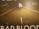 SIGNED BASTILLE DOUBLE VINYL 