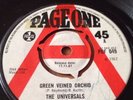 PAGE ONE DEMO The Universals - Green Veined Orchid Rare Psych Garage 45