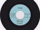 The EXOTICS Come With Me 1966 Texas organ garage punk HEAR