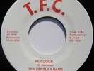 Rare Sweet Soul 45 - 25th Century Band Revue 