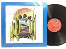 Terry Dolan / Terry & The Pirates - Wind Dancer A1/B1 LP Vinyl Record Autograph