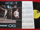 ICE T 