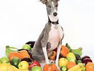 Shellac-Excellent Italian Greyhound VINYL NEW