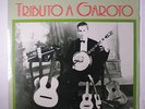 RADAMES GNATTALI & RAFAEL RABELLO: Tributo A Garoto LP (Brazil, small split in