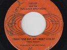 Northern Funk/Deep Soul 45 - Bishop & Wallace Brothers - I Might Give Out - mp3