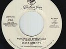 Modern Soul Boogie 45 - Leo & Sherry - My Everything - Barbara Jean - VG++ rare