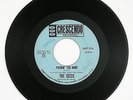 SEEDS Pushin Too Hard/Try To Understand 7IN 1966 (PUNK/GARAGE) VG+ LISTEN