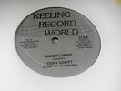 TONY SCOTT WILD FLOWER VG RARE THE LOOK OF LOVE REGGAE  12