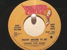 Townes Van Zandt Poppy 506  Waitin' Around to Die b/w Talking Karate Blues Promo