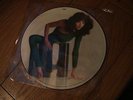 KATE BUSH THE KICK INSIDE PICTURE DISC   NO RESERVE 