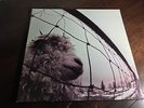 Pearl Jam Vs. Versus First Pressing vinyl lp 12