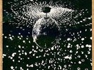 Neil Young with Pearl Jam  - Mirror Ball