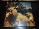 Interpol Our Love to Admire US 2 LP LIMITED PRESS NEAR MINT +CD + Bonus 7 Single