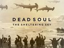 The Sheltering Sky - DEAD SOUL [2x LP]