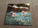 SONIC YOUTH - MURRAY STREET - 2002 USA LP GATEFOLD SLEEVE - 1000'S MORE LPS LOOK