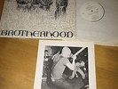 Brotherhood D.Y.S  Hard PUNK Orig U.S LP X CLAIM RECORDS 1983 EX++