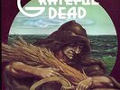 Grateful Dead LP Grateful Dead Records,1973, GD-01, Wake of the Flood   NM - 