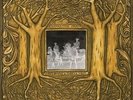 Under Branch & Thorn & Tree - CRAIN SAMANTHA [LP]