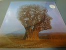 PINK FLOYD -MADISON SQUARE GARDEN 1977-1LP -ULTRALIMITED EDITION- SEALED