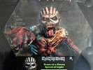 Iron Maiden Rare 12