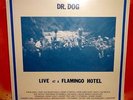 Dr. Dog: Live at a Flamingo Hotel Vinyl LP. Easy Beat. Fate. B-Room. Shins Spoon