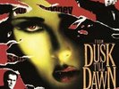 VARIOUS ARTISTS**FROM DUSK TILL DAWN (W/POSTER/180G/GATEFOLD)**VINYL