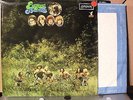 LP Made in England - THE BALLAD OF EVERGREEN BLUESHOES - TOP Zustand