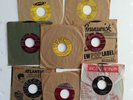 Buddy Holly The Crickets Duane Eddy Elvis Jerry Lee Lewis Bill Haley Everly Bros