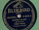 ROBERT PETWAY CATFISH BLUES BLUEBIRD 78