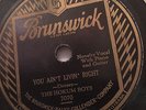 THE HOKUM BOYS BRUNSWICK 7070 BLUES 78 RPM RECORD V+