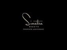 FRANK SINATRA**DUETS: 20TH ANNIVERSARY (REMASTERED/180G/GATEFOLD)**2 VINYL SET