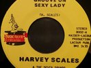 Soul Disco Funk 45 HARVEY SCALES 