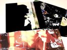 PAUL WELLER LP WILD WOOD Orig. 1993 Vinyl Foc Poster EX+