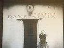 Dave Alvin Blackjack David MFSL LTD 180gm 2 LP VINYL #'d RARE OOP NEW NOT SEALED
